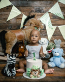 BabyBoysRomper1