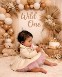 BabyGirlsWildOneRomper3