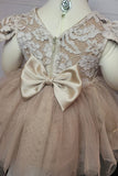 3-6m Baby Girls Beige Lace Tutu Dress